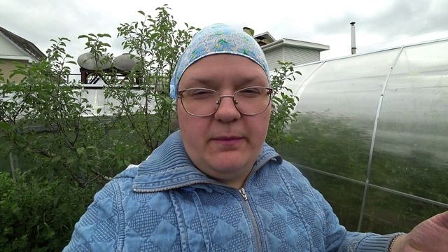 Поливаем капусту разумно