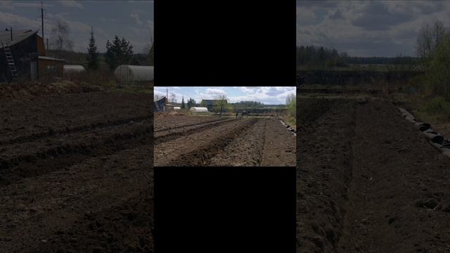 petal_20250624_122824.mp4