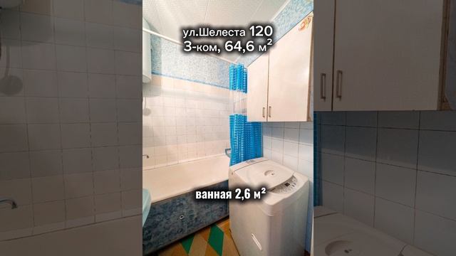 Шелеста 120 3-ком 64,6 м² 1000547425.mp4
