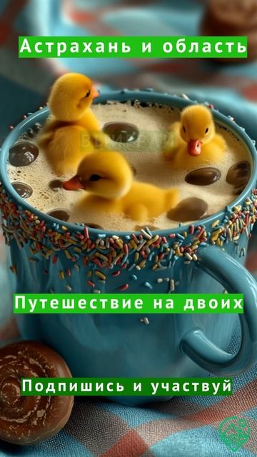 Подписывайся и выиграй путешествие на двоих!