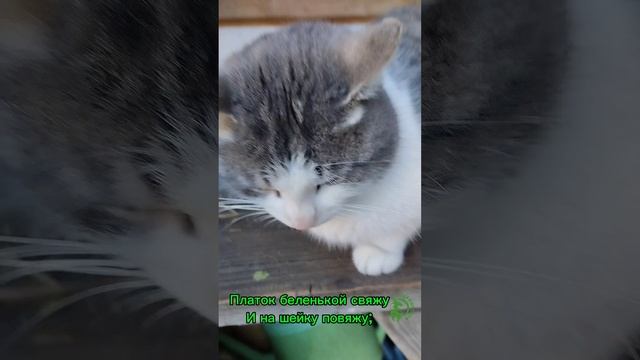 Котенька-Коток песенка.mp4