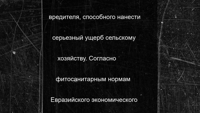 В российском порту обнаружили десятки тонн мандаринов с опасными личинками