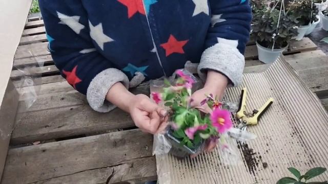 Распаковка посылки