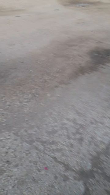 1000044331.mp424.06.2025г.