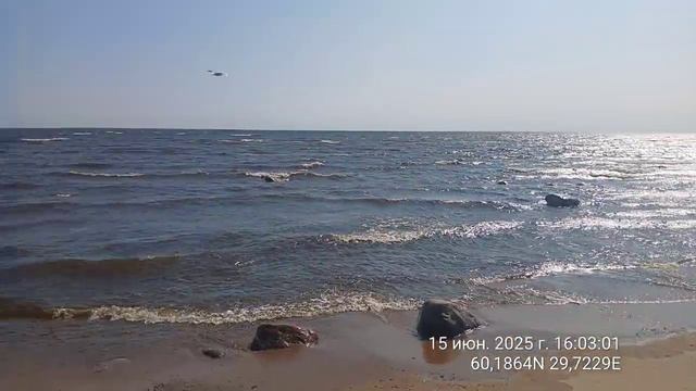 Финский залив июнь 2025 г