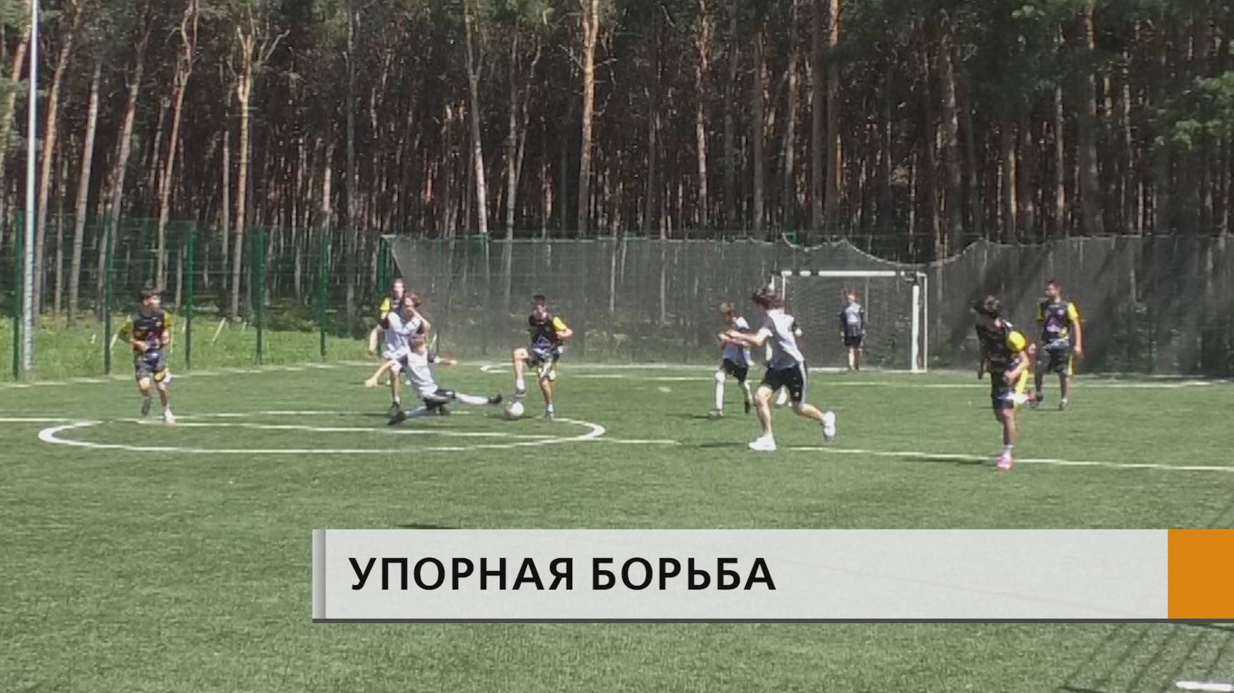 Серьезная борьба за победу развернулась на спортивной площадке парка культуры и отдыха в поселке ГЭС