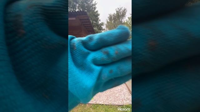 Уголок садовника своими руками быстро