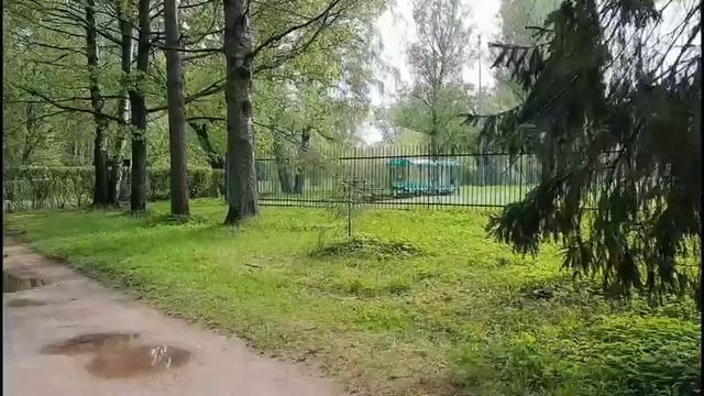 Как красиво в лесу
