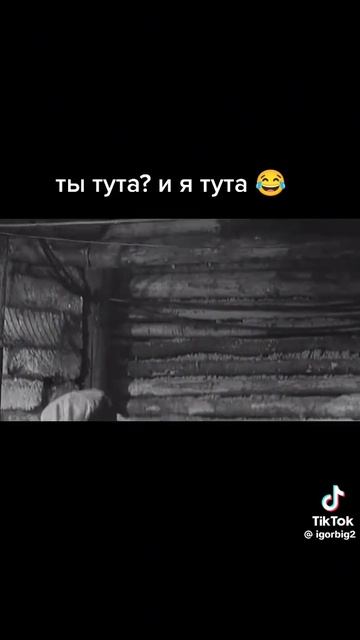 Ты тута? И я тута!