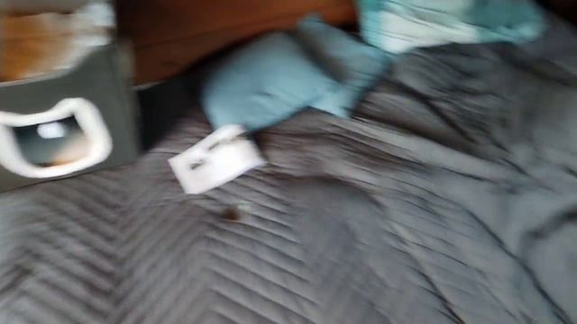 1000021778.mp4