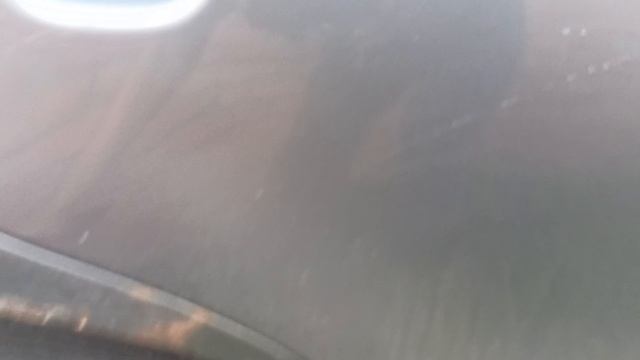 1000645867.mp4