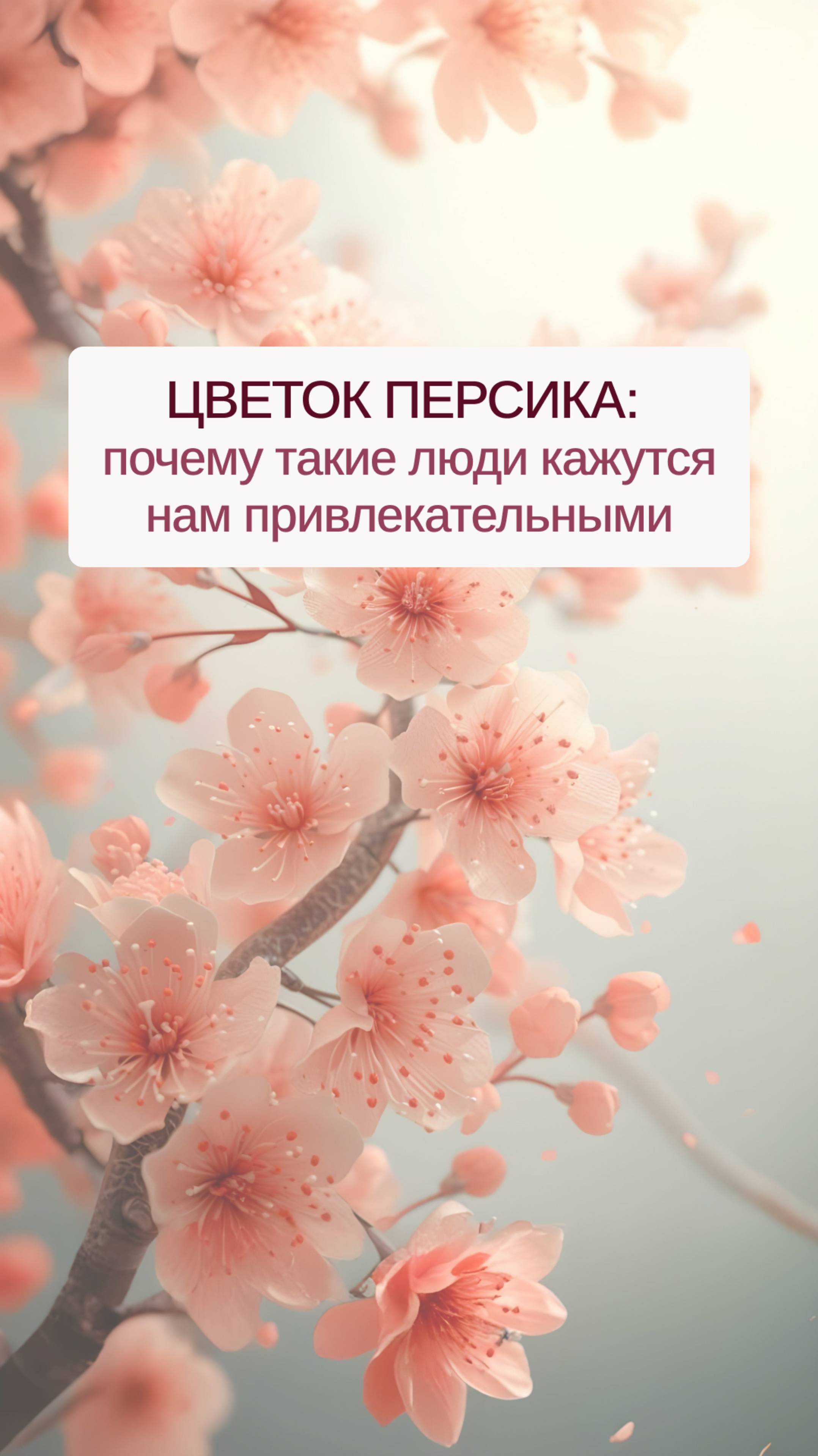 Цветок Персика: почему такие люди кажутся нам привлекательными