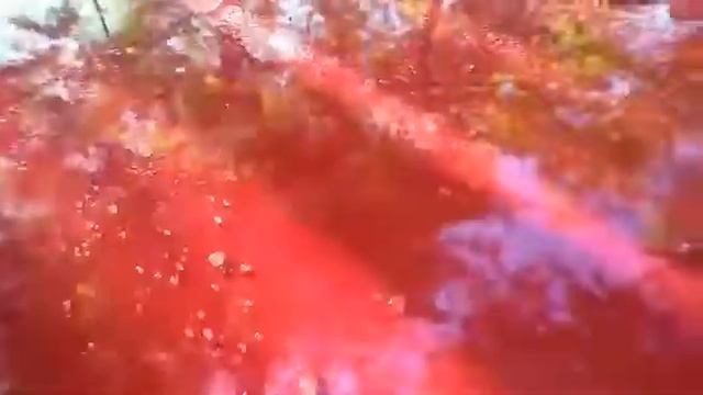 Жидкое стекло KRAGEN 7 LIQUID GLASS