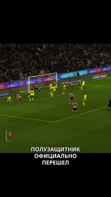 Джоб Беллингем — звездный прорыв после сезона в Чемпионшипе