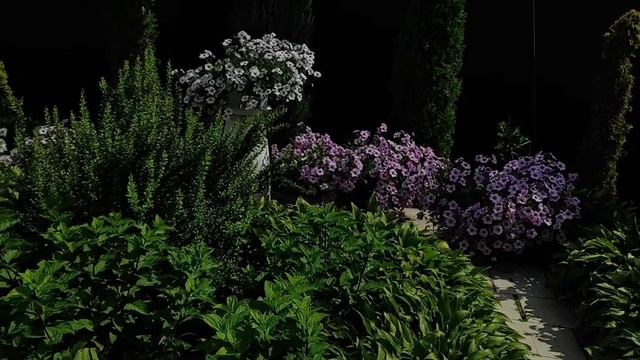 Сборы денег по старой схеме. Деревенский дневник.