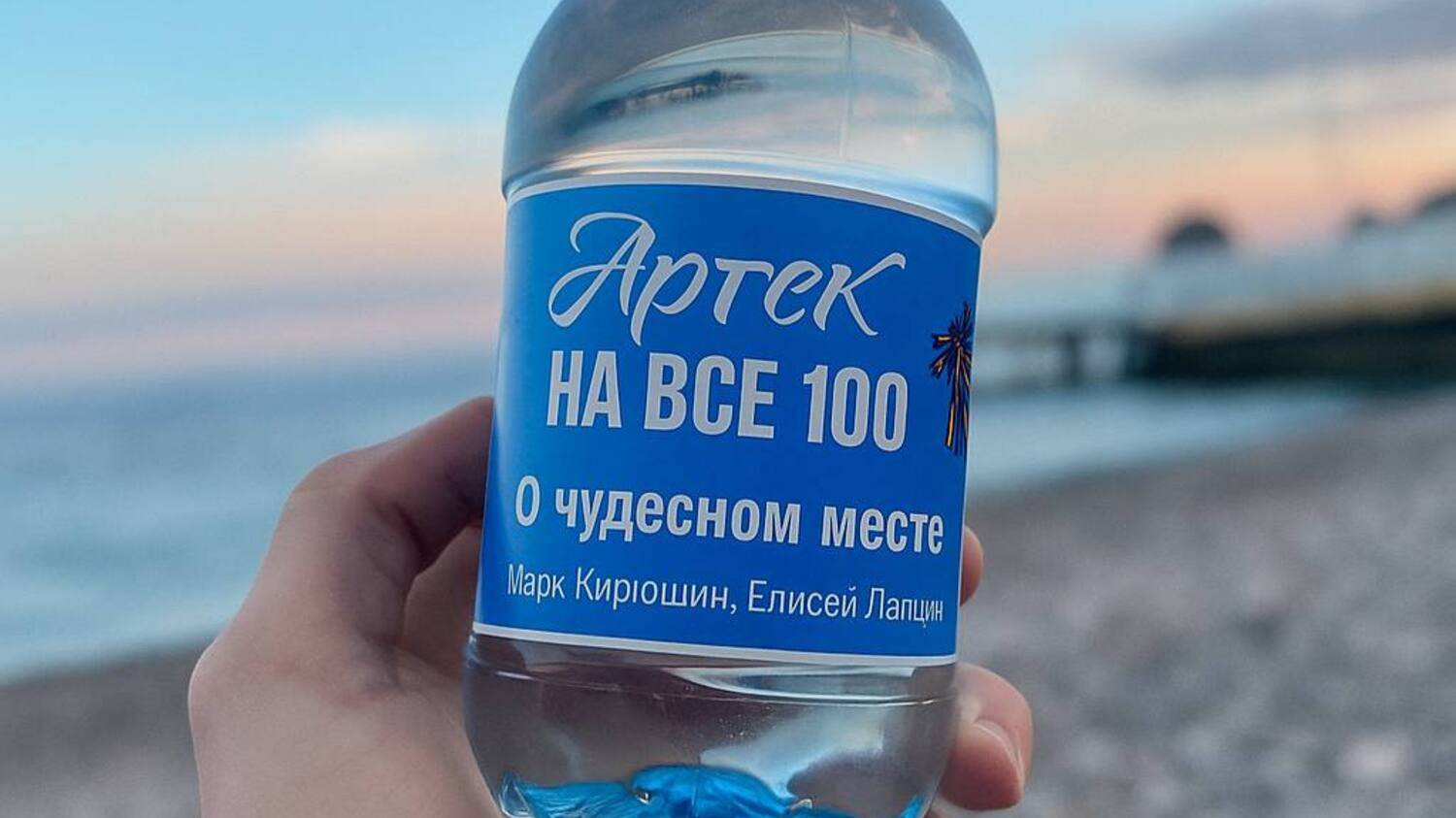 О ЧУДЕСНОМ МЕСТЕ (АРТЕК НА ВСЕ 100) - МАРК КИРЮШИН, ЕЛИСЕЙ ЛАПШИН