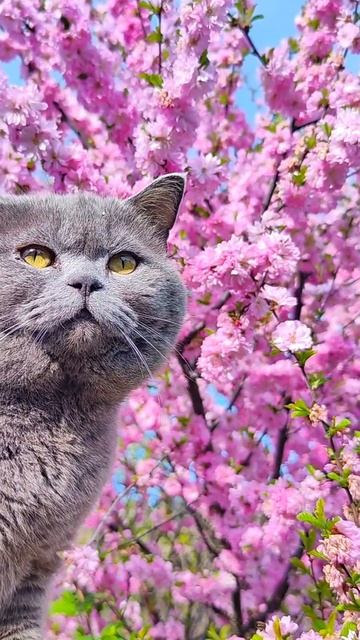 Был отличный весенний день☀😺