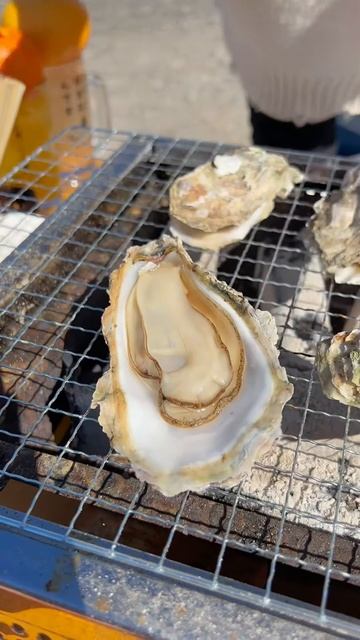 L-AuzUzwjBs - 豪快な海鮮丼が楽しめる牡蠣小屋🦪「牡蠣小屋 浜太郎」 #福岡グルメ