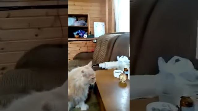 Розочка крупно