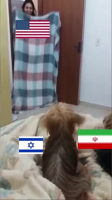 Кратко о ситуации на ближнем востоке