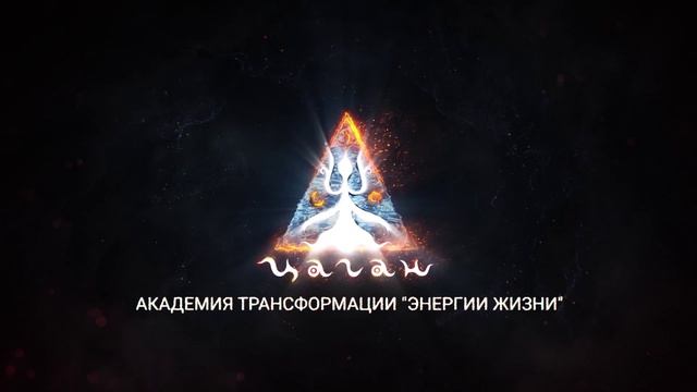 Отзывы