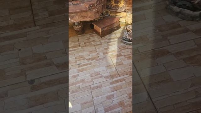 1000006609.mp4