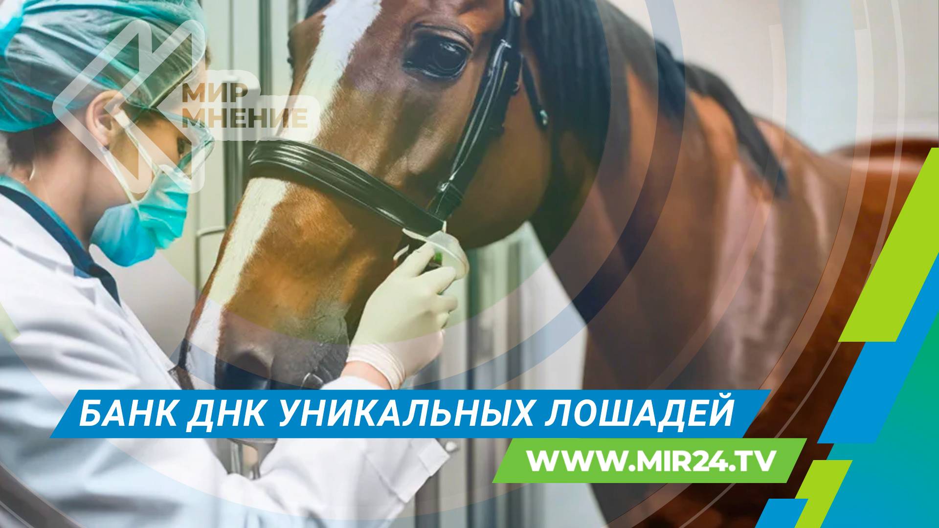 В Башкортостане начали формировать биобанк ДНК уникальной породы лошадей