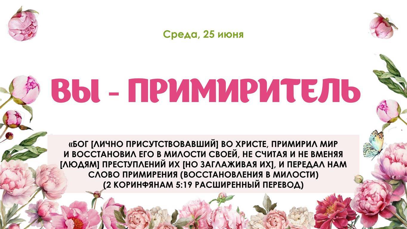 Вы примиритель