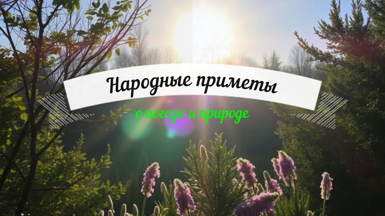 Лайфстайл
