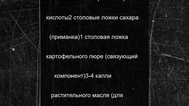 Избавляемся от тараканов в доме навсегда: 2 действенных народных способа борьбы