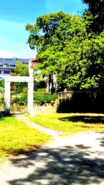 Камера в центре событий