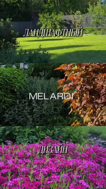 Студия ландшафтного дизайна melardi #ландшафт #дача #садоводничество #сад #цветыдлядома #сорт
