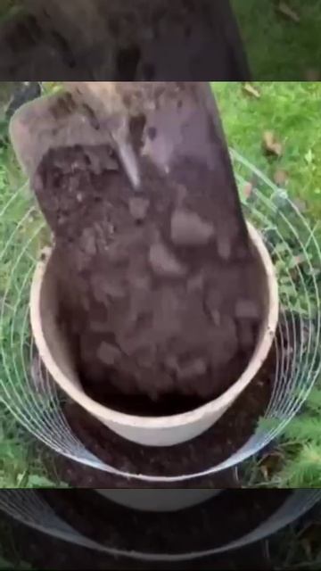Из старого кирпича 🧱