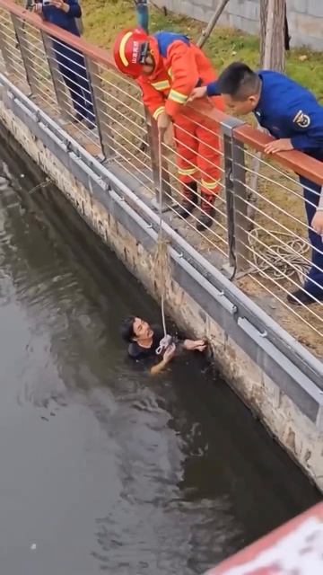 @video_smeshnye (1).mp4