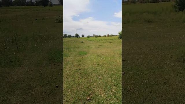 1000007973.mp4