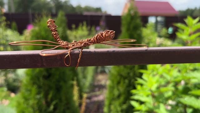 Что такое Сад непрерывного цветения 🌷