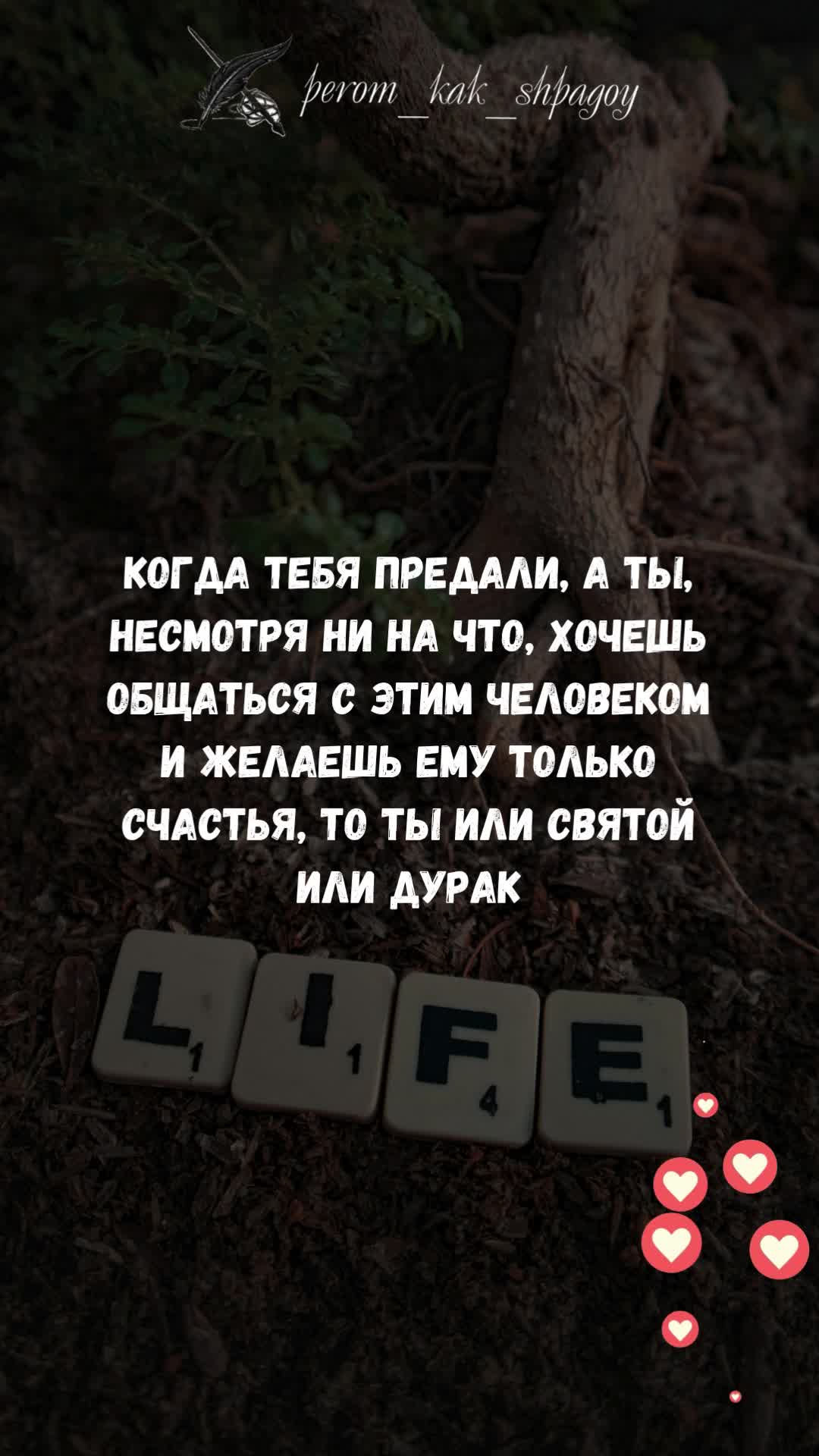 Размышления мудрых.