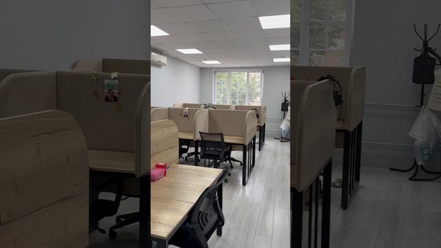 Волкова 59 35 м2 в аренду