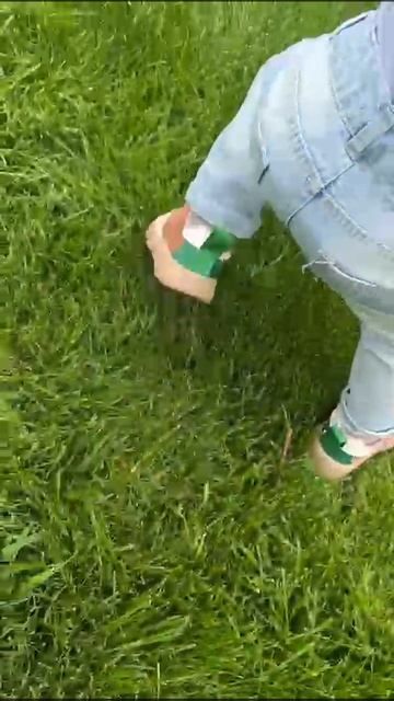 VID-20250512-WA0024