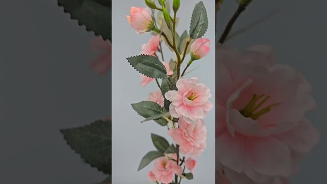 Ветка цветущая Ванда