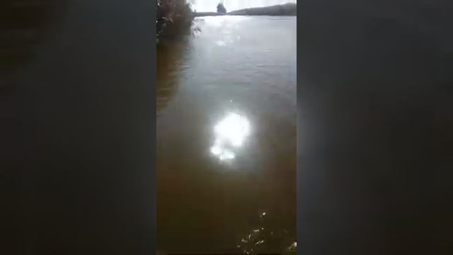 Ловим Сазана вариант номер 2 база Капитан
