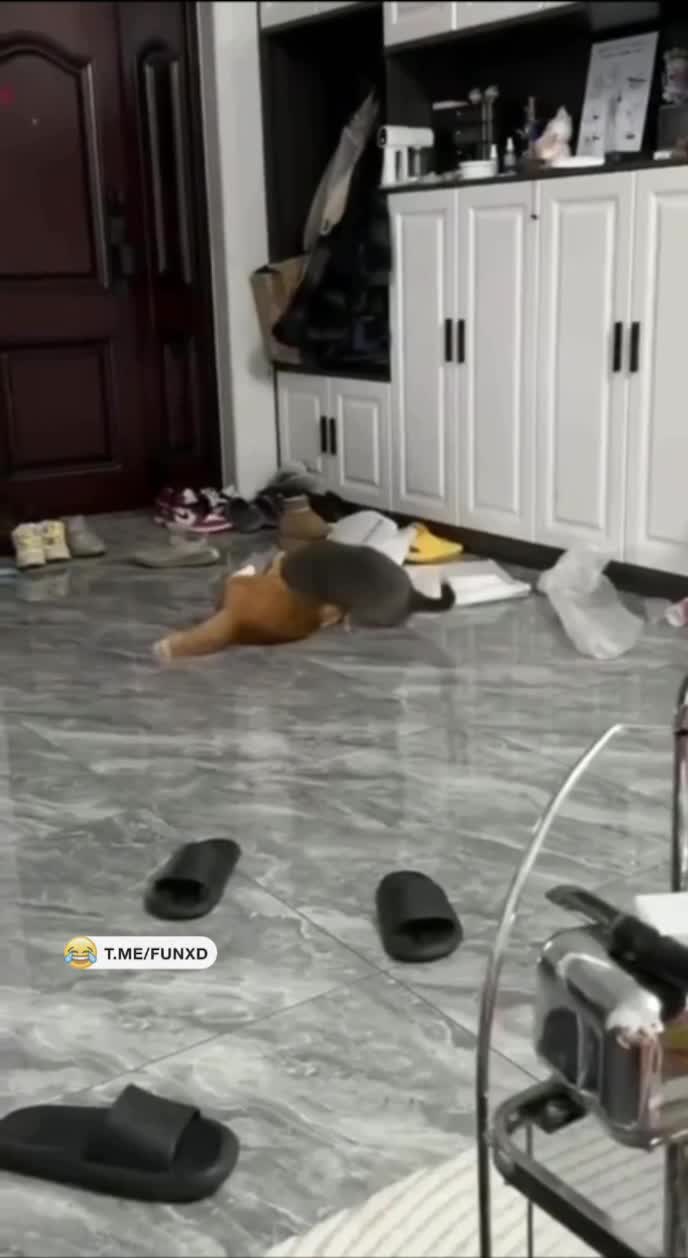 Сальто-убеганто😁