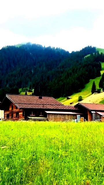 Камера все видит