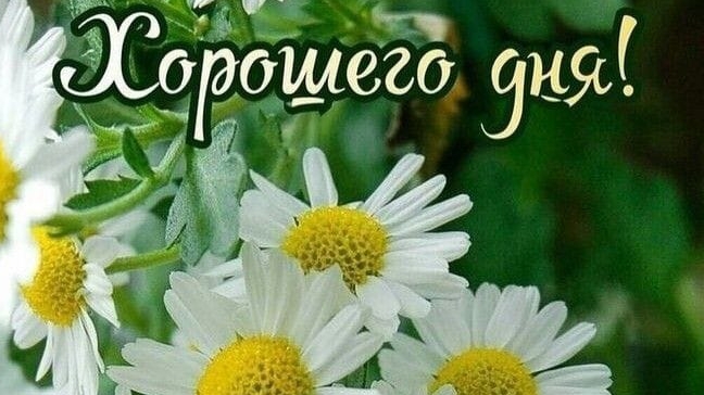 Приедет ли долгожданный человек на этой неделе?🤔