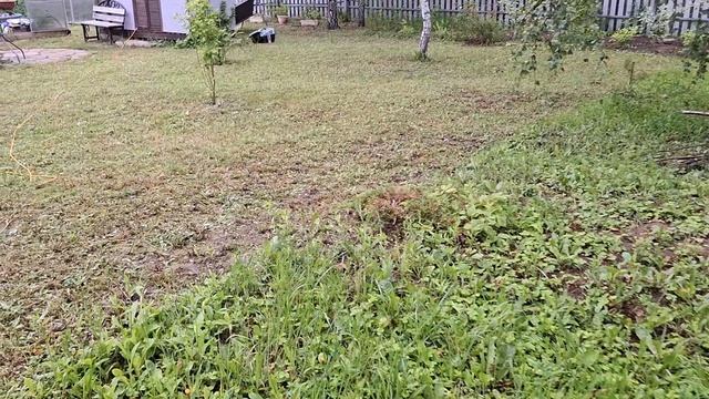 За досками. Покрасила каркас, а покосить никак