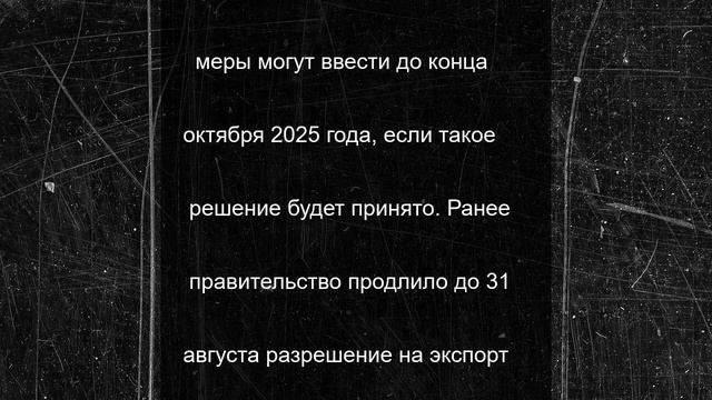 В России обсуждают полный запрет на экспорт бензина