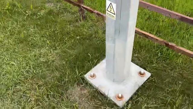 Луга на опушке