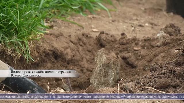 24.06.2025 Дайджест