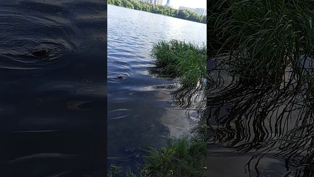 1000020882.mp4