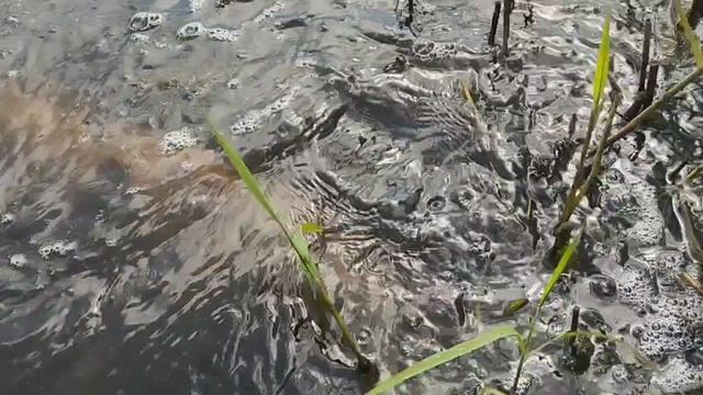 1000031147.mp4